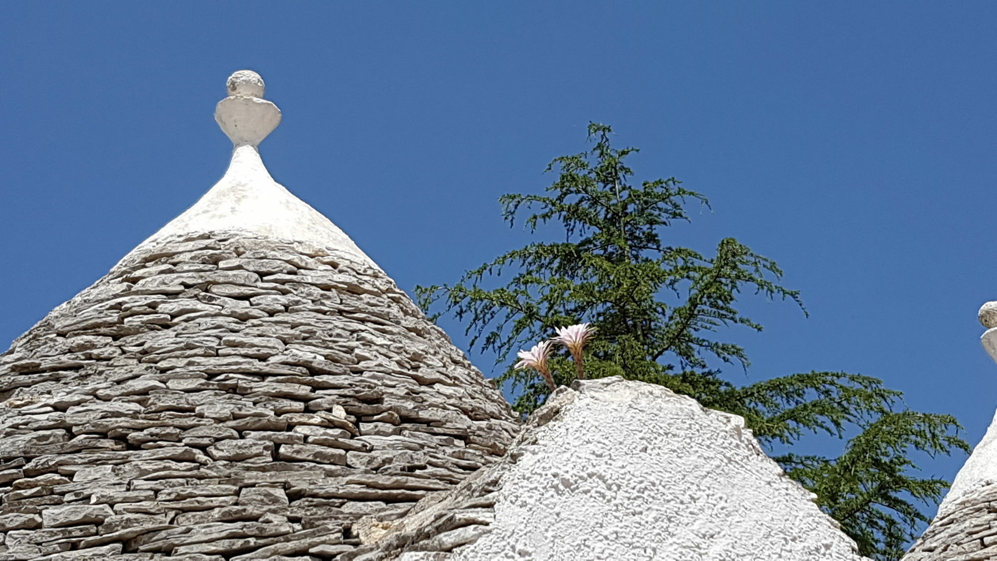 Parco Della Vigna Villa Martina Franca Exterior photo